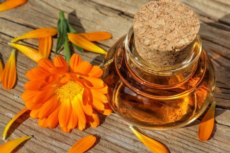 Herbiotiful's tweet photo. Les huiles végétales en cosmétique. Les choisir et savoir les utiliser https://t.co/gNDg2rSWFQ https://t.co/Wo7scL5zu8