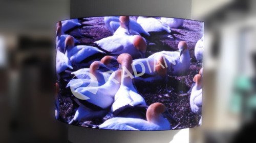 ledscreen_Miya's tweet image. P2.5 indoor flexible led display screen used at office... ift.tt/2OX7rX9  

P2.5 indoor flexible led display screen used at office room,exhibitions, sports venues, concerts,etc.led panel size 400*300mm.  #flexibleleddisplay #curvedledscreen #P2.…