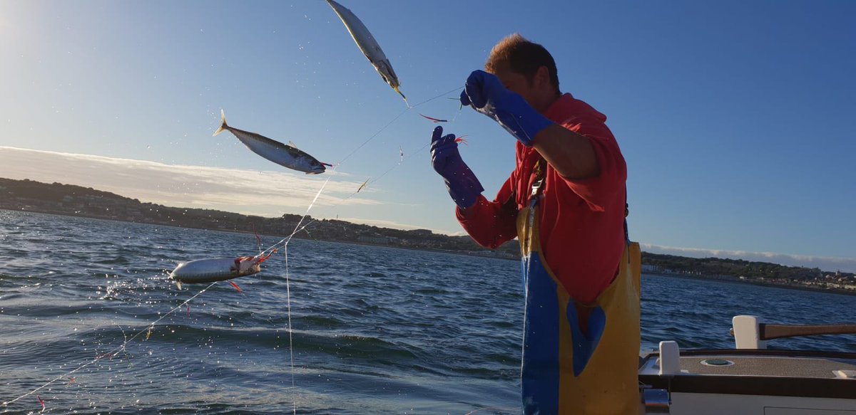 NewlynStevenson's tweet photo. Ryan Ladd our Second Auctioneer hand-lining for Mackerel on his boat The Pendower PZ118. Photo Credit: @LukePaveyUK #fishing #fishermen #cornwall #handlining #mackerel https://t.co/6LYhR3a89L