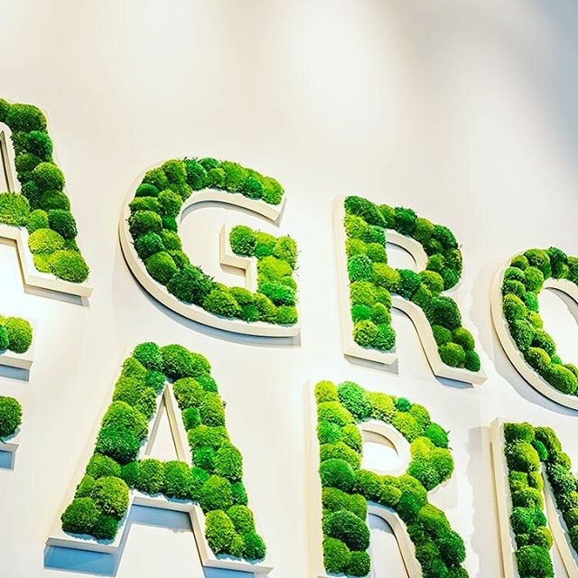 Get creative with our real moss wall surfacing. It’s a new product from our Biophilic Design Collection #biophilicdesign #retaildesign #creative_architecture  #moss #signage #signagedesign zpr.io/6DbEG zpr.io/PF5xt