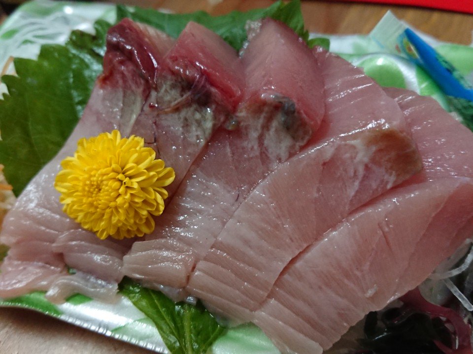 コシナガマグロ コシナガマグロ