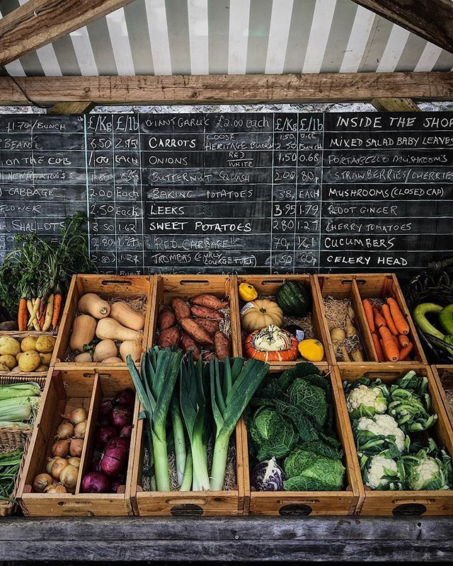 wutheringbites's tweet photo. Stews, casseroles and soups! I love this cozy food weather. What’s everyone go-to dish now there’s a bit of chill on the horizon? #squashwatch #eatseasonally https://t.co/tfBB7UhNA0 https://t.co/7sH2Vup400