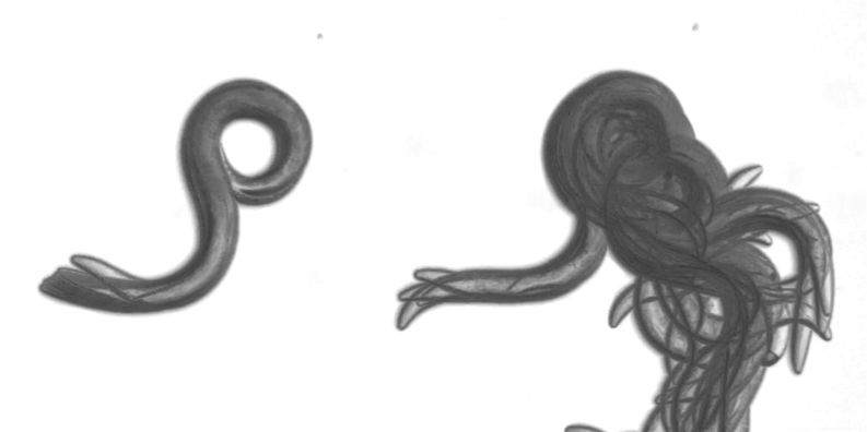 hhmi_science's tweet photo. Work by HHMI Investigator Leslie Vosshall (@pollyp1), @emilyjanedennis, and colleagues offers new clues about how DEET confuses insects and animals looking for a meal. https://t.co/u8kGXatfVr https://t.co/43TVdpsvC6