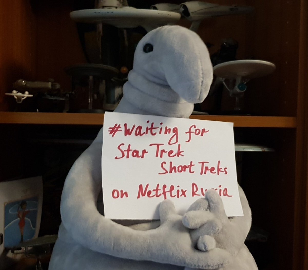 oblomoff_ka's tweet photo. @StarTrekNetflix is there any chance that we'll be able to watch #StarTrekShortTreks on Netflix in Russia? This guy's waiting... ) #WaitingForStarTrekShortTreksOnNetflixInRussia https://t.co/Je9gL13ocW