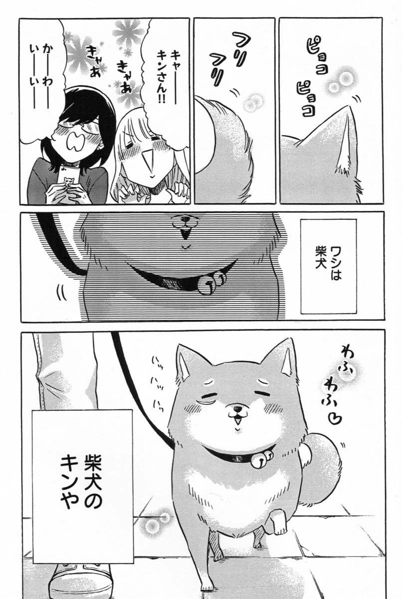 「ワシとゆきさん」本日発売ですー!!
紙も電子も同時に出てますのでご都合よい方でぜひ??

ワシとゆきさん 埼玉死闘篇 (ビームコミックス)   青色 イリコ https://t.co/Y5PlegLCFB 