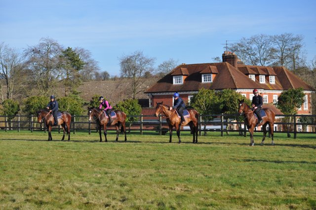 careersinracing's tweet photo. Apprentice Jockey required! 🏇😀.
Join @edwalkerracing &amp; his team, Lambourn.

For more information please visit: https://t.co/77jPYSjdpb https://t.co/604p0ECr2p