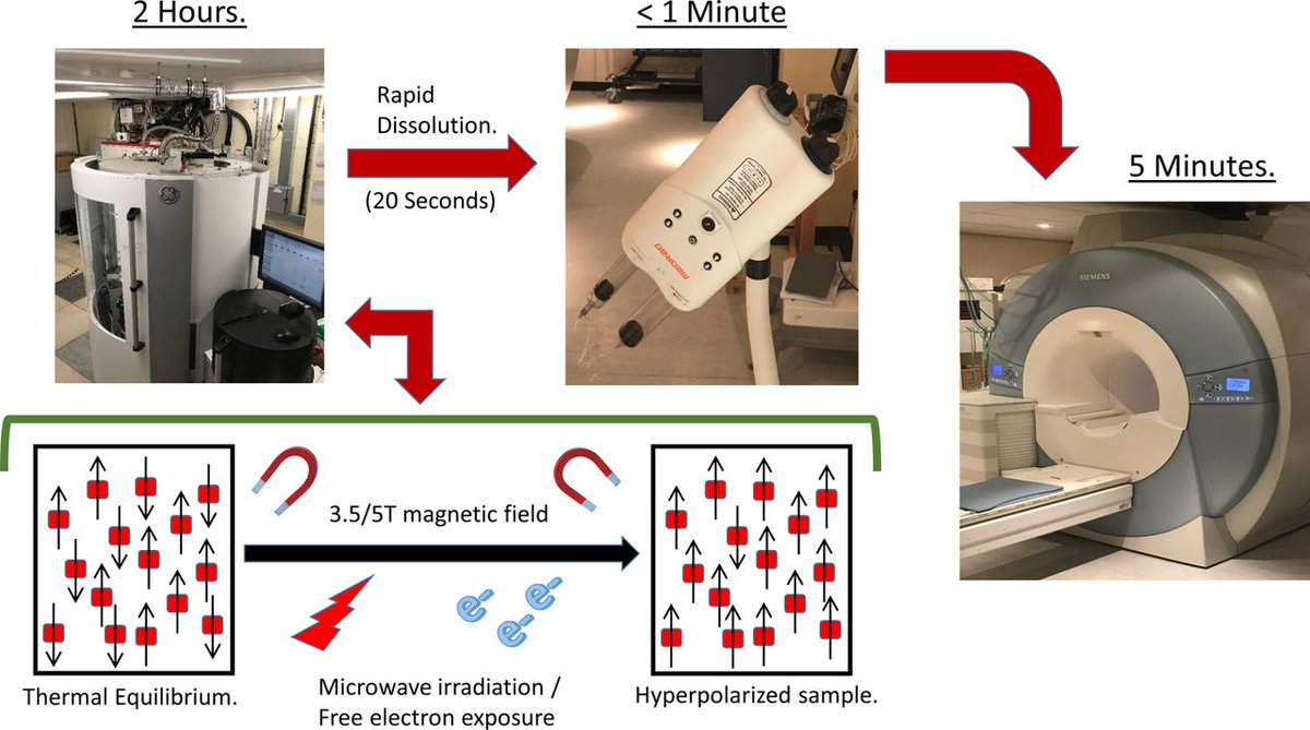 Heart_BMJ's tweet photo. Hyperpolarised magnetic resonance for in vivo real-time metabolic imaging | Heart https://t.co/pHD4Xol0dc https://t.co/9h9hfWU6cm