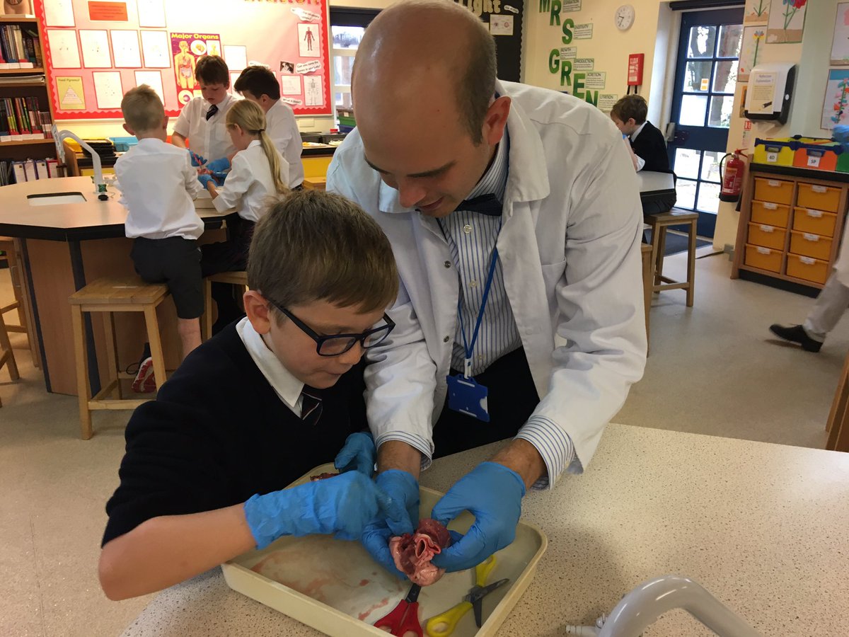 KESBathJunior's tweet photo. What a fantastic hands-on learning experience for Year 5 today, as they explored the structure and role of the heart as part of their science topic on the human circulatory system #KESscience #AdventurousMinds https://t.co/bGXsHIbCc4