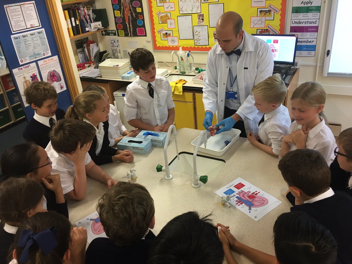 KESBathJunior's tweet photo. What a fantastic hands-on learning experience for Year 5 today, as they explored the structure and role of the heart as part of their science topic on the human circulatory system #KESscience #AdventurousMinds https://t.co/bGXsHIbCc4