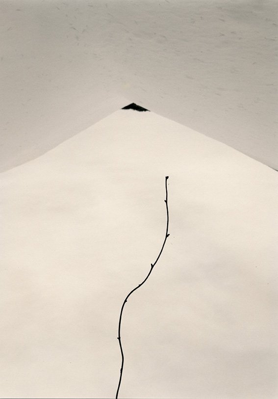 mep_paris's tweet photo. "UNE COLLECTION" #CollectionMEP
Les images de la série "Kawa = Flow" de Masao Yamamoto , se référent à la tradition poétique japonaise, et sont issues d'une observation de la nature et d'une méditation sur le caractère passager de notre présence dans ce monde.
#MasaoYamamoto https://t.co/m35xLWMhFp