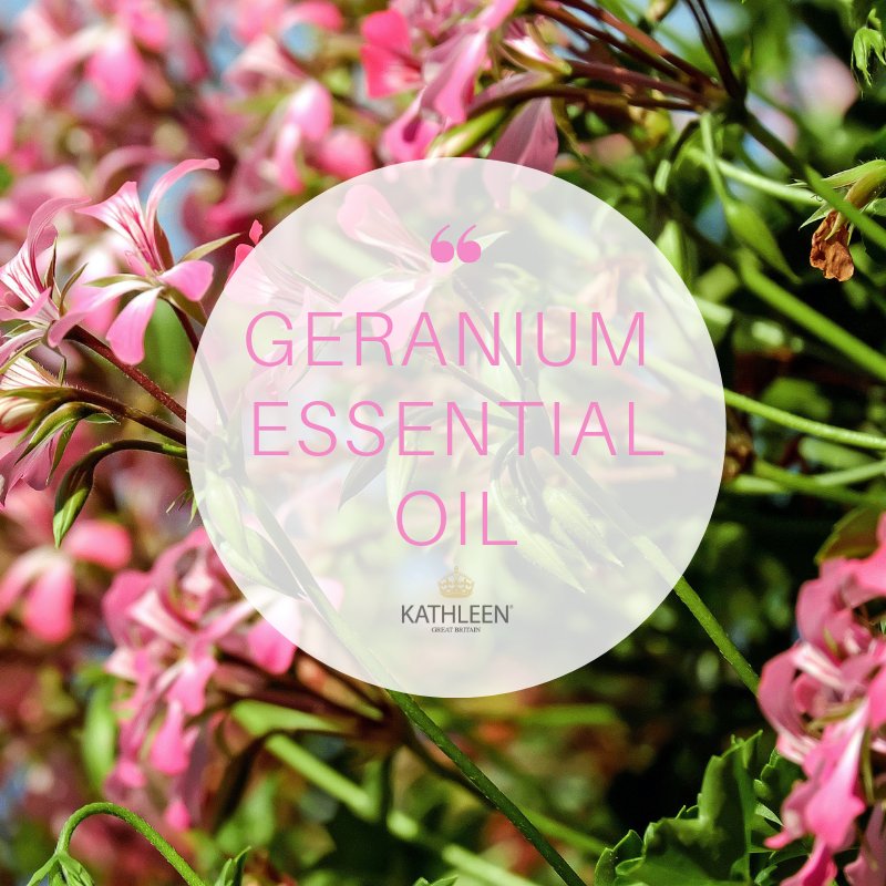 Kathleen_uk's tweet photo. #GeraniumEssentialOil is used in #aromatherapy, the sweet fragrance uplifts mood, lessens fatigue & improves emotional wellness 🌸 Its properties help to treat acne, target wrinkles, ease muscle aches & reduce inflammation. Its the 'Base Note' in our #CitrusCheer #Bodycare Duo 💗 https://t.co/io917DuNyM