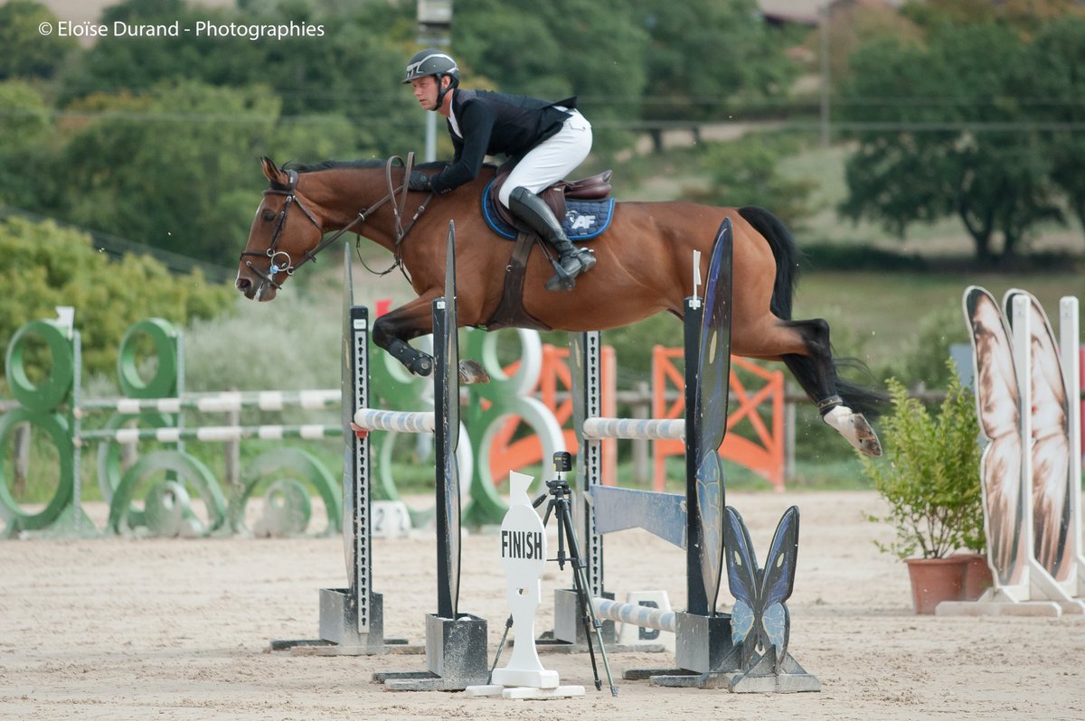 Team_Fontanelle's tweet photo. Six chevaux et deux jours de concours national à Dole ce week-end ! 🐎 https://t.co/TFDmBU5NAD
