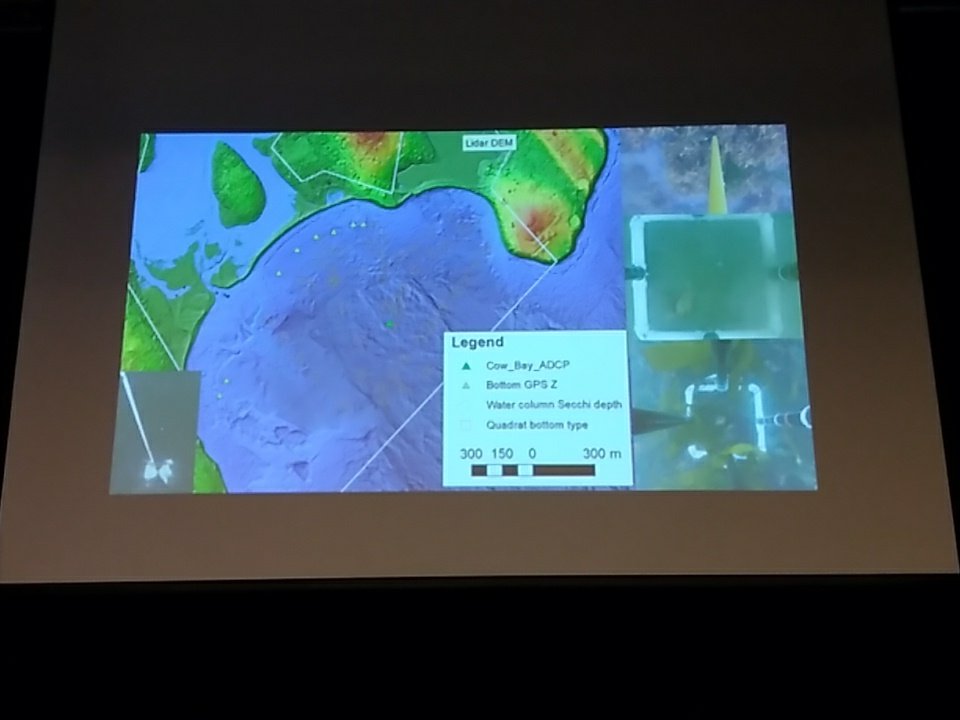 coinatlantic's tweet photo. #coastgis2018 #icanatlas Webster example DEM from Cow Bay https://t.co/CDqPBebgNC