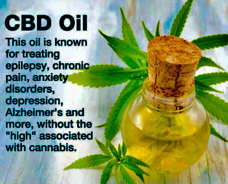 NorCalStoner420's tweet image. Whether You Like It
Or Not, We ALL Have An
#Endocannabinoid System
In Our Bodies. #CBDHeals...