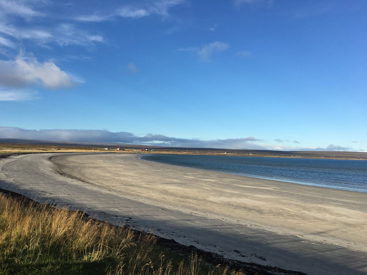polarsnipa's tweet photo. Fantastiske høstdager i Varanger. Et paradis på jord og et magisk landskap. Lur meg hjem! #varanger #visitvaranger #ekkerøy #nordnorge #paradis #beach #detmesteernord #finnmark #ifinnmark #terapi #magisk #paradis https://t.co/KlymM2Chy2