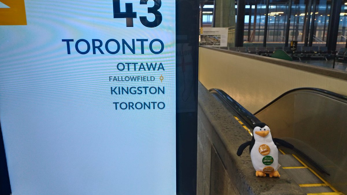 arthiak's tweet photo. Hey @torontolindyhop here comes Skipper Lindy Bouter to cut some rug at #lindyworks. Starting the #lindyhop season right for #LBXIII @lindybout
We'll be racking lots of @VIA_Rail miles this season #randomActsofDance #skipperonthefloor https://t.co/qKnI4RbEvM