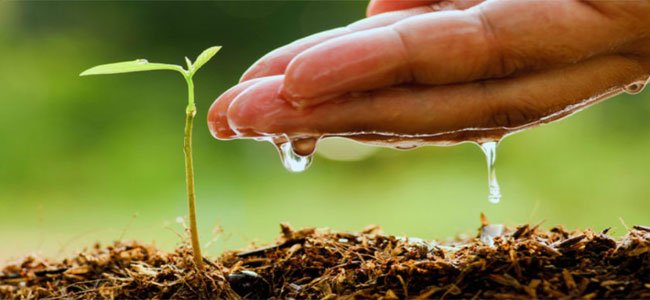 Miticpy's tweet photo. El @MIC_PY lanza la competencia “Future Agro Challenge Paraguay", evento en el cual los competidores, sus emprendimientos e innovaciones, se enfrentarán a desafíos nacionales, regionales y mundiales. https://t.co/Ckm2gU5vfd https://t.co/BwEVWoh1Ri