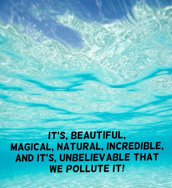 educo2cean's tweet photo. The #ocean is slowly dying because of us, and the ocean's #sea creatures suffer because of us! What can YOU do that will make me #change these words into something good?
It's not easy trying to make the difference every day! 🐬💙 🐋🐚☀️🌍🐟
#500post 😘🍀💙 https://t.co/t72HRjAH8v
