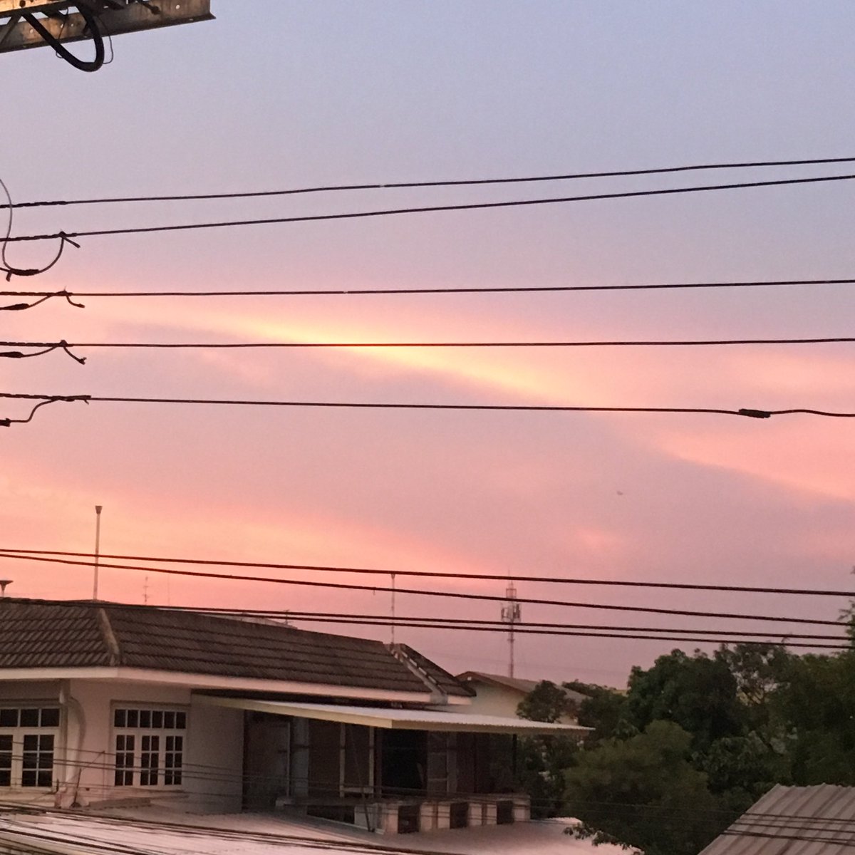 23 ᐧ༚̮ᐧ ☁️𓈒 * ・ tweet media