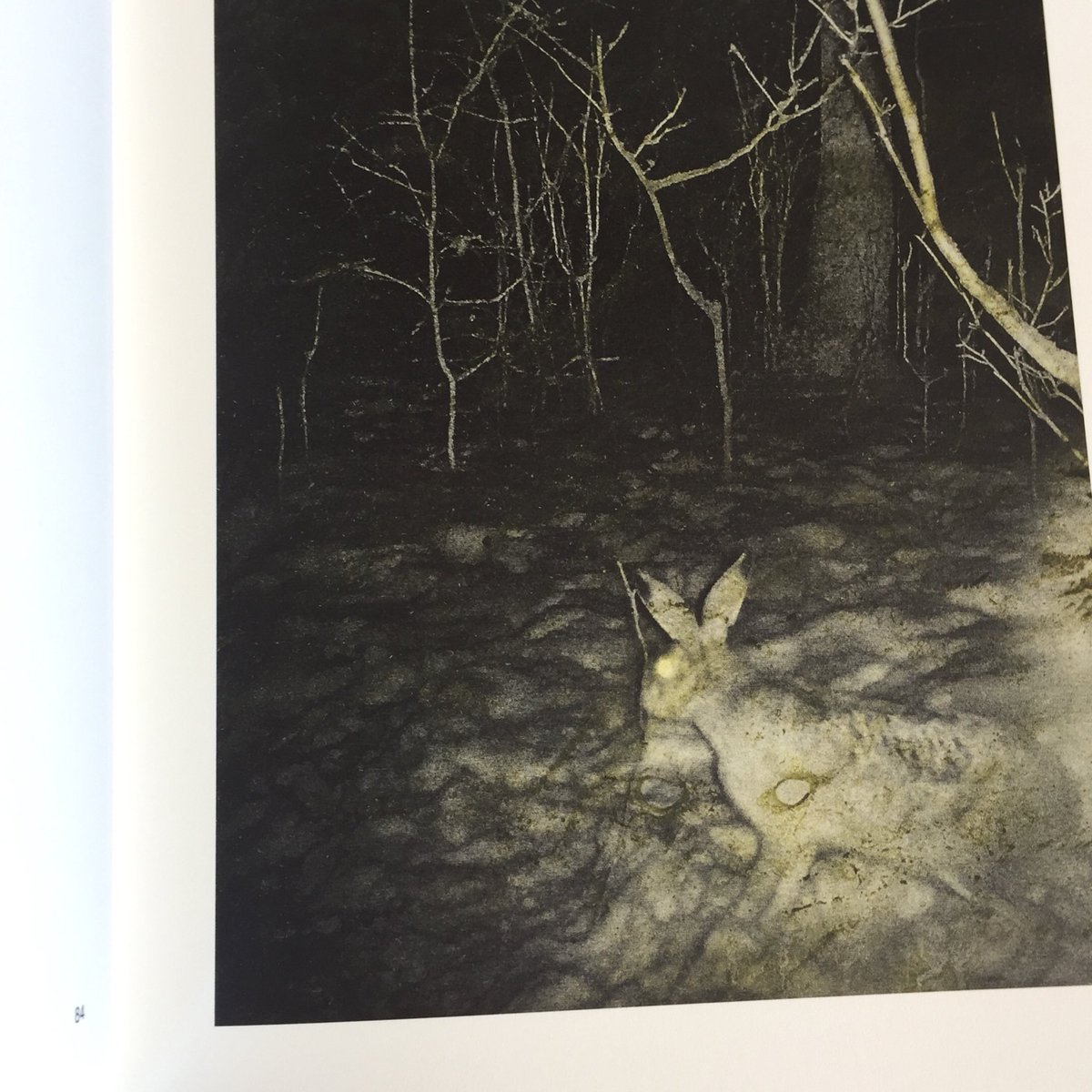 Fourth Edition brings together the works of Stephen Gill, Ed Panar,<a href="/londontaxidermy/">alexis turner</a> <a href="/andreaalessioph/">andrea alessio</a> &amp; Mandy Barker #photobooks in Cork Photo Gallery until October 17th.