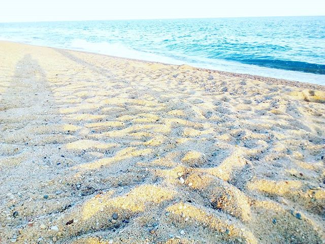 strandMINblick's tweet photo. #pinedademar #katalonien #strandblick #costabrava #spanien #costabravareisen #strand #sandstrand #sandybeach #espana #españa #espana🇪🇸 #ferien #reise #urlaub https://t.co/Z16Nb7omFN https://t.co/4ZTBFxxUC8 https://t.co/gVx0anVqja https://t.co/3ZlrttKcJD 📷: @strand_blick.de https://t.co/k56xzM8zLL