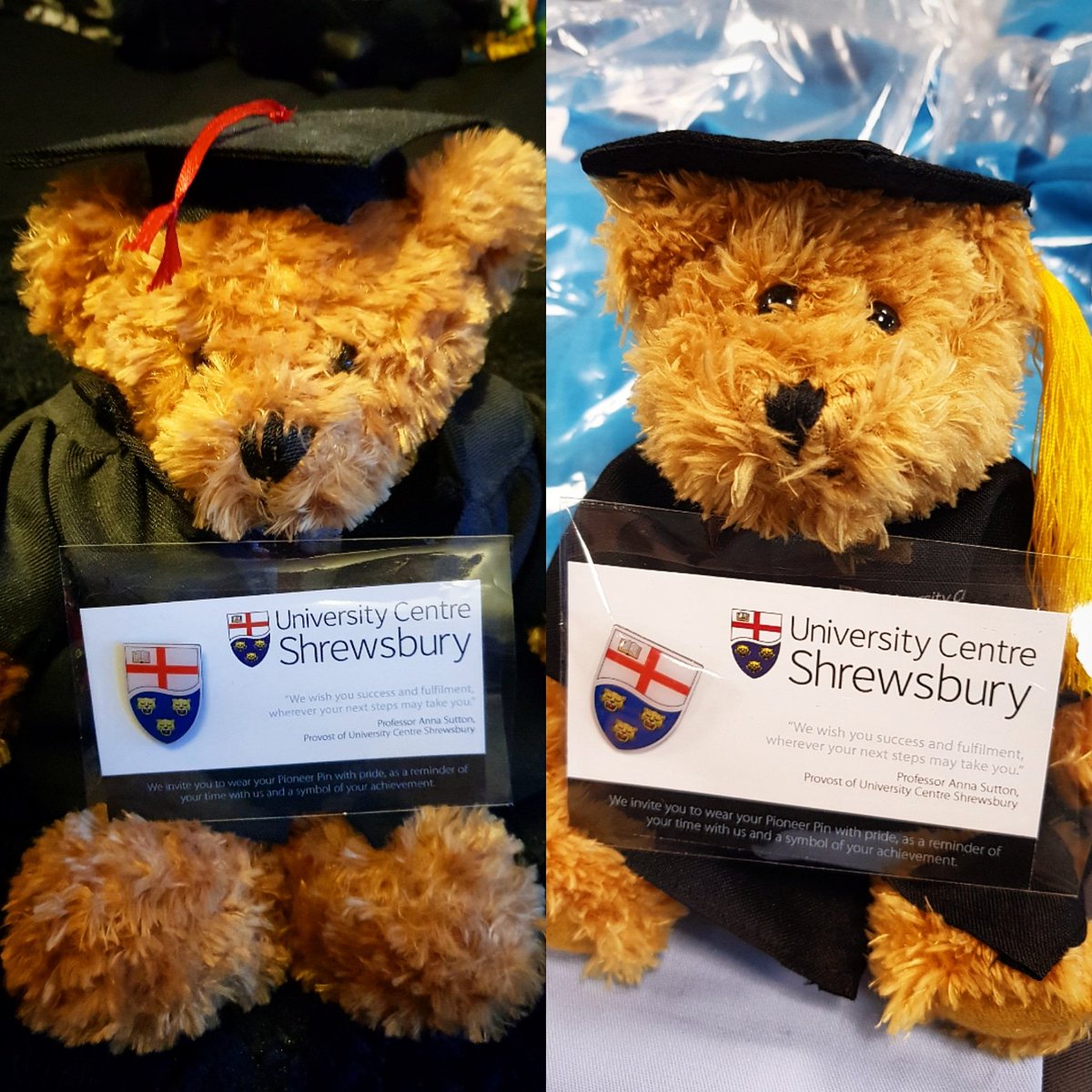 ChesterAlumni's tweet photo. Here we have #DarwinTheShrewsburyBear with his @ucshrewsbury Pioneer Pin π» #TedTheAlumniBear has his, have you got yours?! π You can get your very own #DarwinTheShrewsburyBear from @shrewsbury_su when you collect your gown πΎ #UCSGraduation https://t.co/0R32JsjYdB