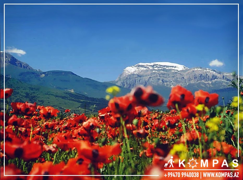 KompasAZ's tweet photo. Mount #Shahdag is a mountain peak (4,243 m) of the Greater #Caucasus range, located in #Gusar / #Azerbaijan, close to the border with #Russia. Numerous rivers, including tributaries of the #Samur , starting from the slopes #Bazarduzu
#KompasAZ #ExploreAzerbaijan #hikingadventures https://t.co/ZOZQtFml0f
