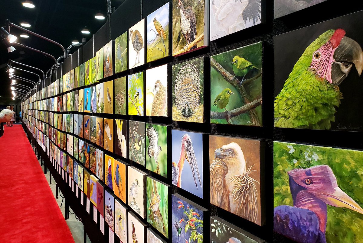 birds online purchase