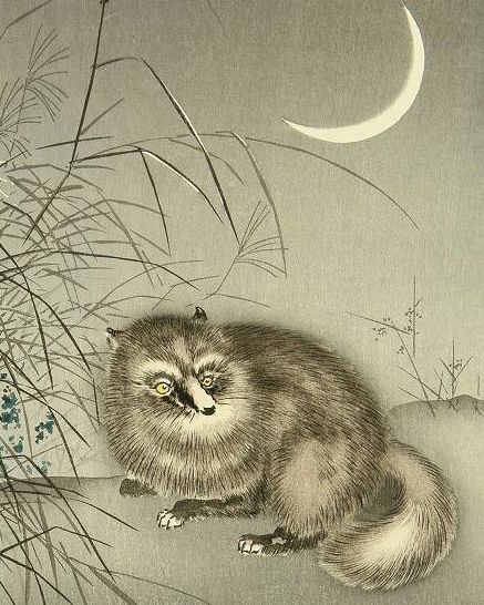 Anne Louise Avery tweet media