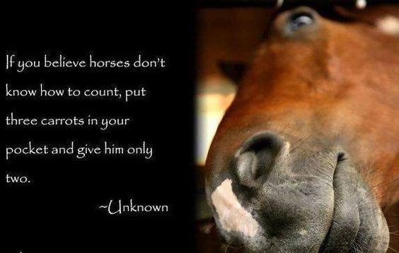 Too true! 😂

Image from: ow.ly/mYko30cX2Zd