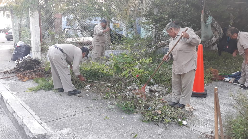 #BrigadasVerdes realizan trabajos de chapeo, limpieza y retiro de basura y desechos vegetales en la Sm. 24 #NoPararemos

<a href="/rembertoestrada/">Remberto Estrada</a> <a href="/RogerEspinosaR/">Roger EsPro</a> <a href="/jlcgcachorro/">jlcg cachorro</a> <a href="/AytoCancun/">Ayto Benito Juárez</a>