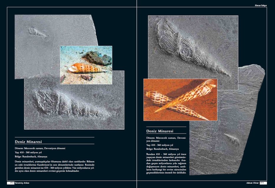 #HerşeyiYaratanAllahtır . Evrim safsatadır. Fosiller bize evrimin geçersizliğini gösterir. Kendini evrime kaptırmamış herkes aşağıdaki 400 milyon yıllık deniz minaresinin evrimi çürüttüğünü bilir.

"Can Dündar" "Hayırlı Cumalar" #TurgutÖzakman #AhYalanDünya #AklımaTakılanSoruŞu