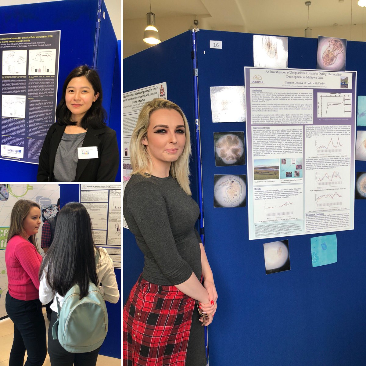 STLoughran's tweet photo. Great research on show from @dkitscience undergraduates Xin Rui Lim, Shannon Dixon and Clare Murray @SciUG_Research in DIT #SURE18 #SURENetwork @DkIT_ie @DkIT_Research https://t.co/EhVw5Rh0C6
