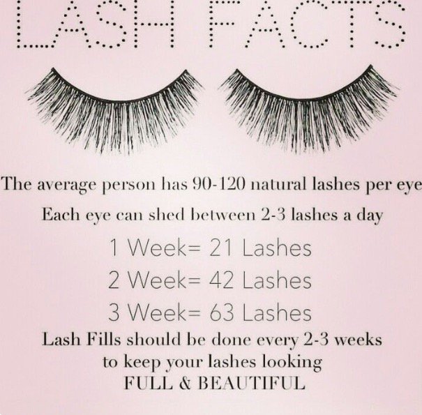SecretLashes's tweet photo. π Did you know? π
#lashcycle #lashartist #lashextensions https://t.co/OFoJVn7mQj