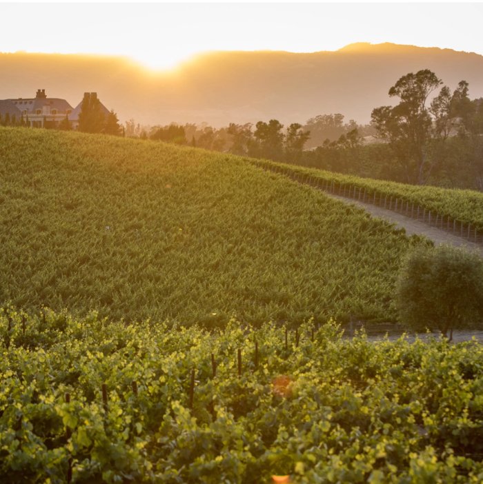 DCANTER (dcanterwines) Twitter