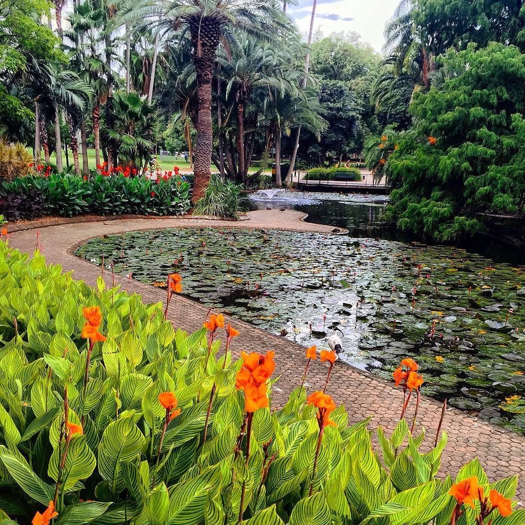 vegetabox's tweet photo. Hello sweet gardeners !! Very important #event this #weekend, come to the wonderful #botanic garden in #Brisbane city for an exclusive weekend #farmers market ! All the information are available there: https://t.co/x1ULoVUoCr… 

Have a nice week-end 😀 https://t.co/jBv55wf0jx