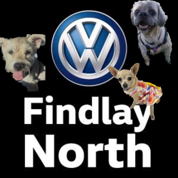 Join us today from 3-7 <a href="/FindlayNorthVW/">Findlay North Volkswagen</a> it will be such a blast!!! Food, dogs and so much more!!! 🐶💜🐾