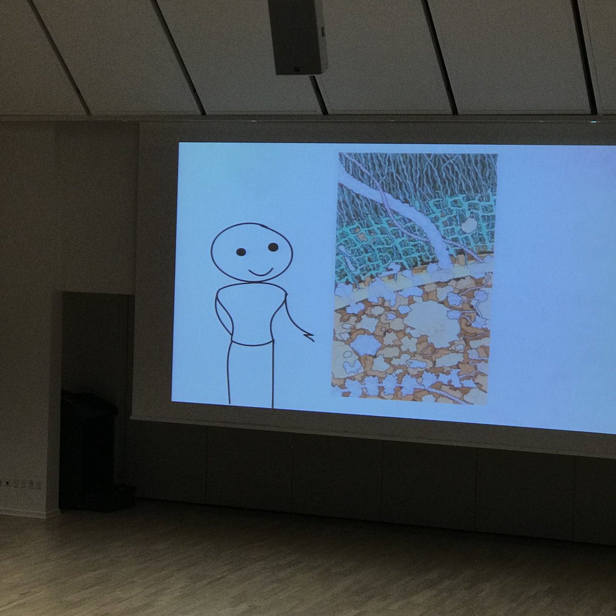 emelie_hilner's tweet photo. How to draw your PhD - very inspiring talk from @Ditte_Engholm at #VAF2018. https://t.co/yZT6D6duns