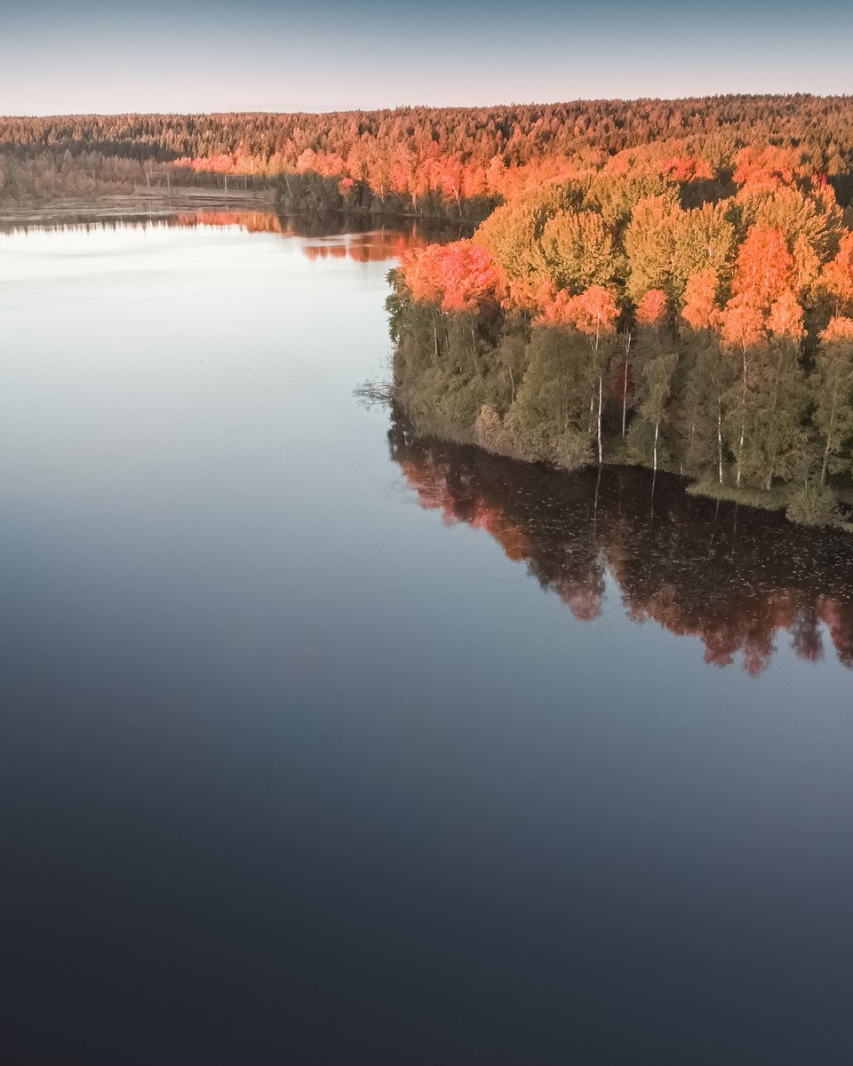 VisitTampere's tweet photo. What a natural beauty our #Tampere is, bathing in the autumn's bright colours 😍 If you would like to go and take some photos of your own, check out our suggestions 👉 https://t.co/pO4Av2Jiiz 📷 Laura Vanzo / Visit Tampere #VisitTampere #autumn https://t.co/FSKzJwKUZL