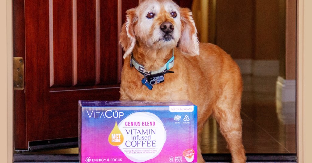 sam's club dog vitamins