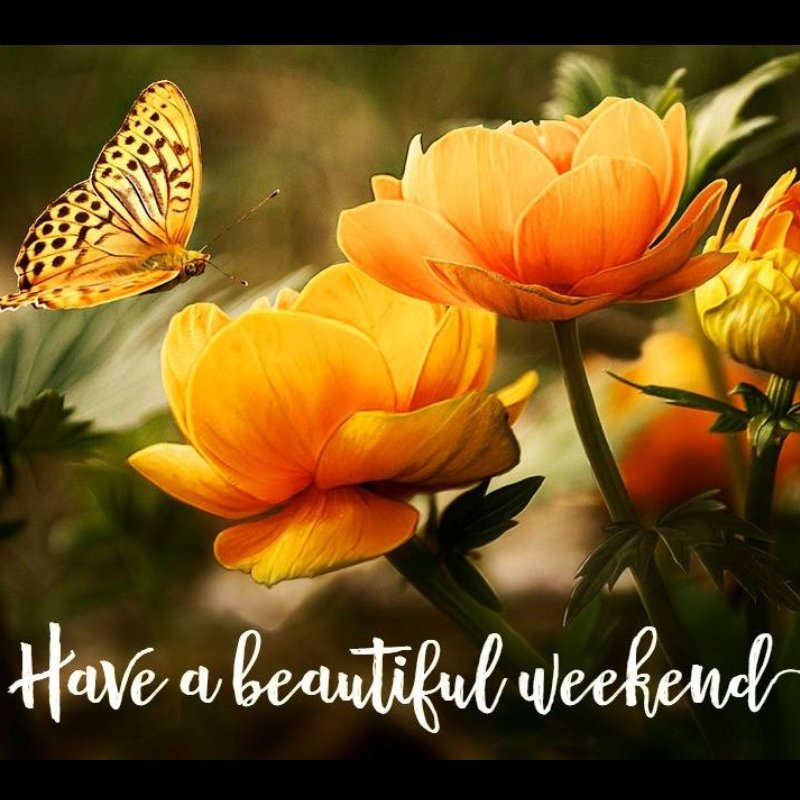 ForrestExterm's tweet image. Happy FRIDAY!! #tgif #termites #pestcontrol #moisturecontrol forrestexterminating.com