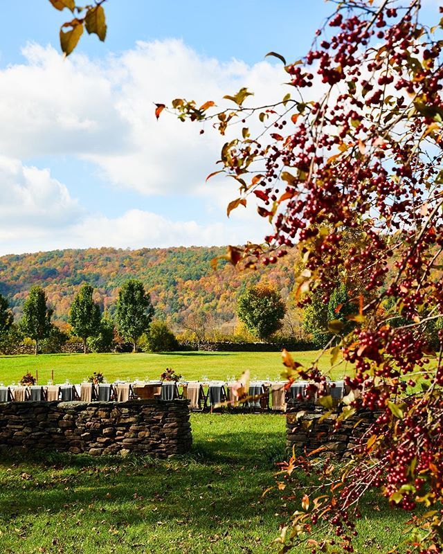 Dark and rainy today both in weather and spirit. We are spending the morning thinking of all that Fall has to bring and looking back on our beautiful harvest gathering with <a href="/parachutehome/">PARACHUTE</a> and @brushlandeating last year. Can’t wait for these bright reds a… ift.tt/2NJAoJv