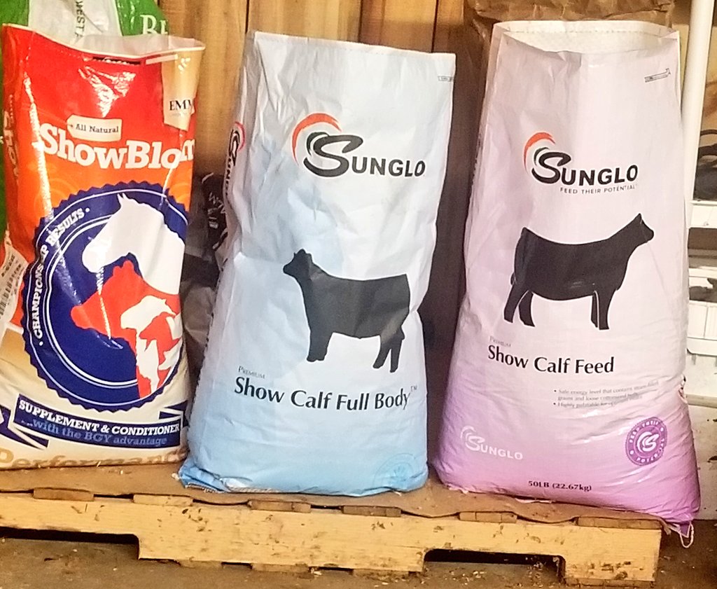 UnderwoodBeef's tweet photo. What are your show calves eating? #sunglofeeds #showbloom https://t.co/nPEzNvVarh