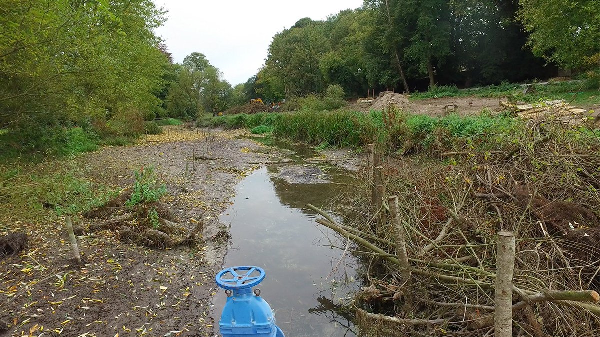 CloudbaseArt's tweet photo. @TimSykesEA @EnvAgencySE here's a couple more at ground level https://t.co/ONUPtSokDG