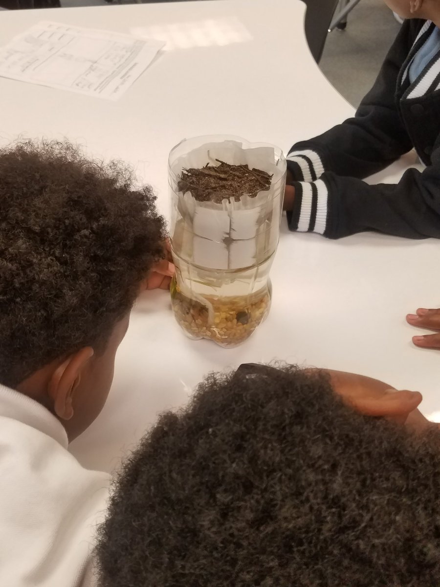 lmorrison8's tweet photo. Alex Kennedy 5th grade students collaborating on soda bottle ecosystems. Thanks for inviting me! @SusanJCPS @AlexRKennedy1 @LaceyEckels https://t.co/RpHNQ2OXh0