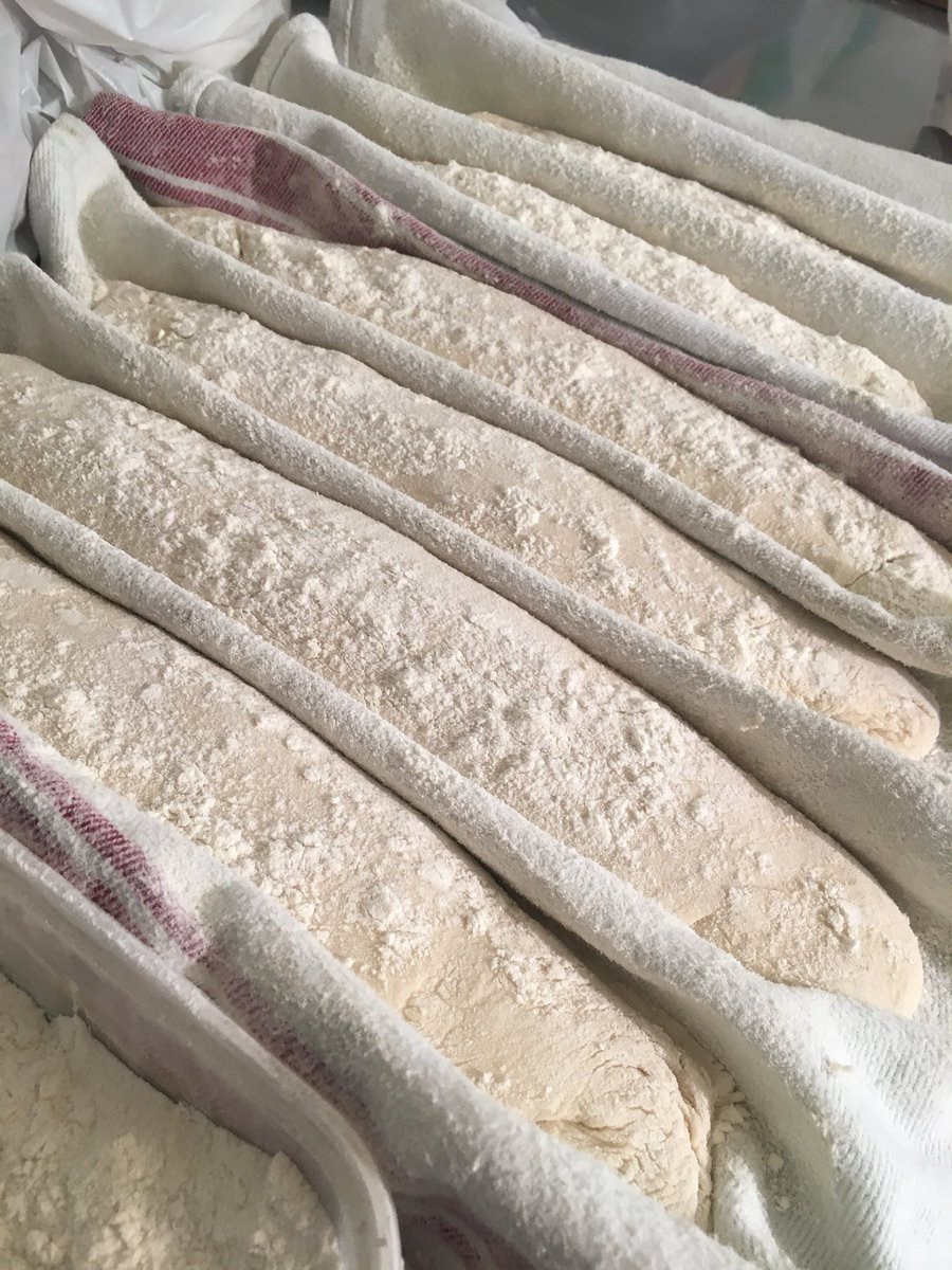 First shot at sourdough baguettes 🥖