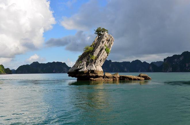 Travelmax5 tweet picture