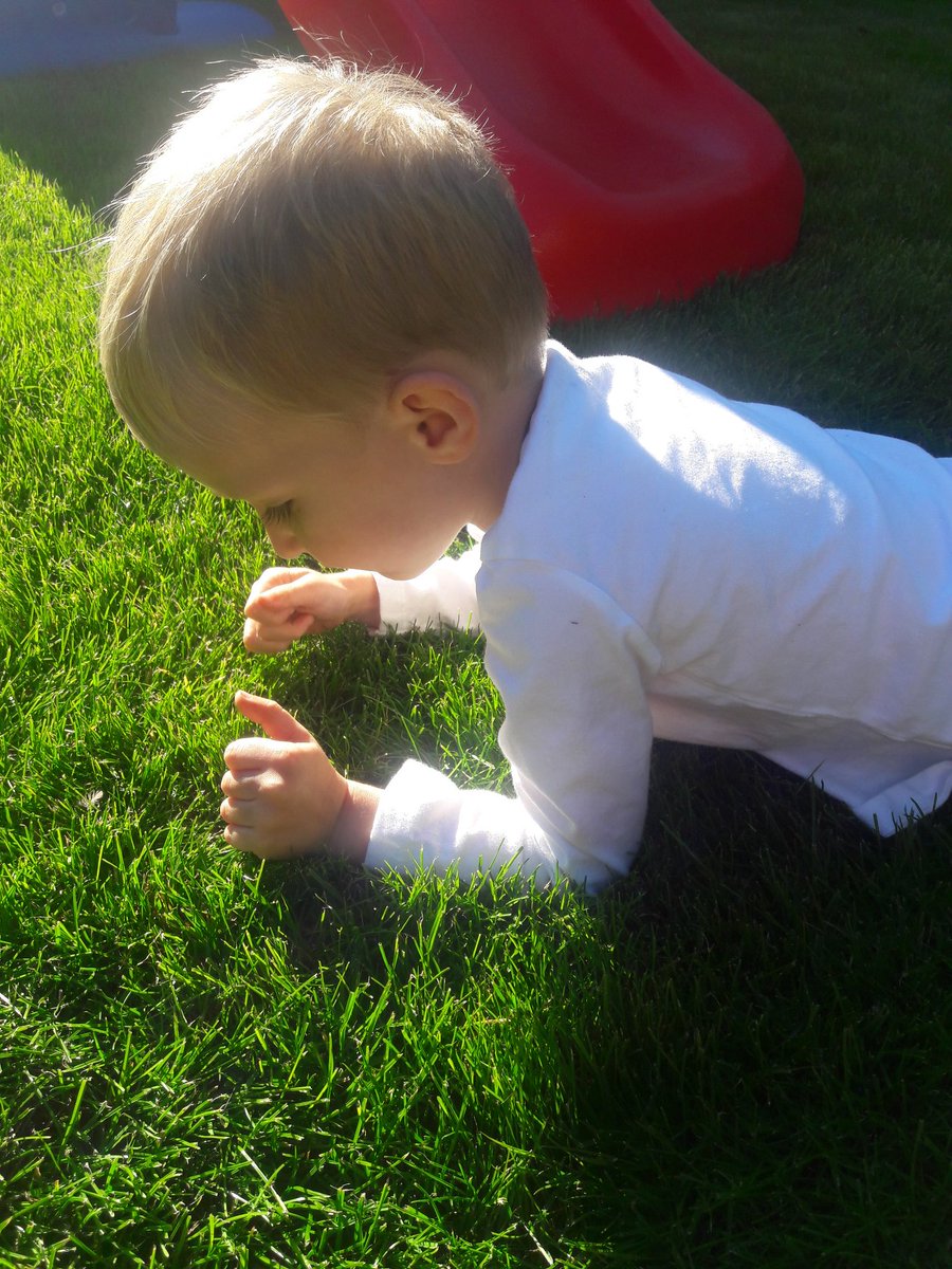 GreenieRob's tweet photo. Trying to teach my little boy about Lolium perenne Tetraploid grass today.....but all he wants to do is play on his slide. What's wrong with the youth of today 😥 #futuregreenkeeper https://t.co/RebvuvhEZz