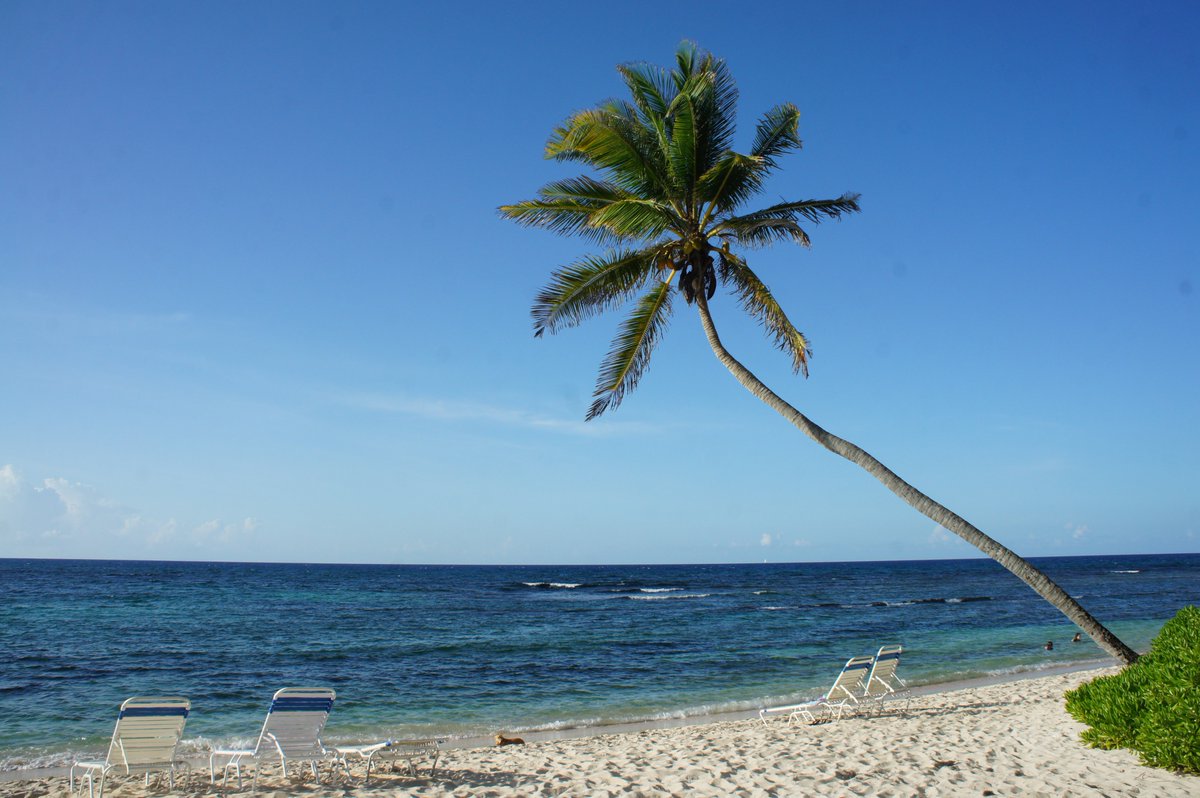CaribSoulTrek's tweet photo. Smell the ocean & feel the breeze! #wegetitin https://t.co/1LyrB79vY3