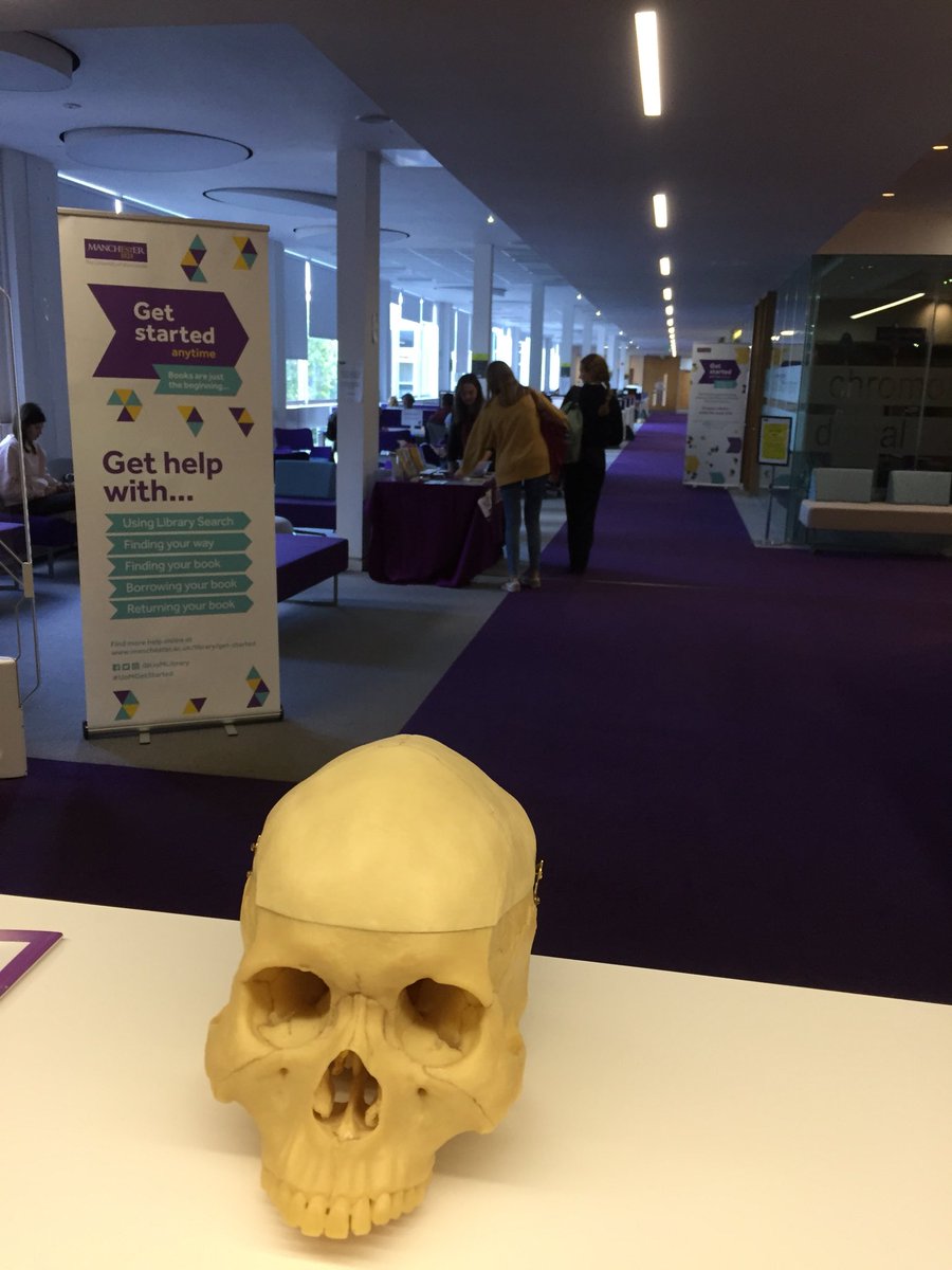 Rhm4Renata's tweet image. We don’t just loan books @UoMLibrary you’d be off your skull not to #UoMGetStarted at the Stopford Library 👋🏻